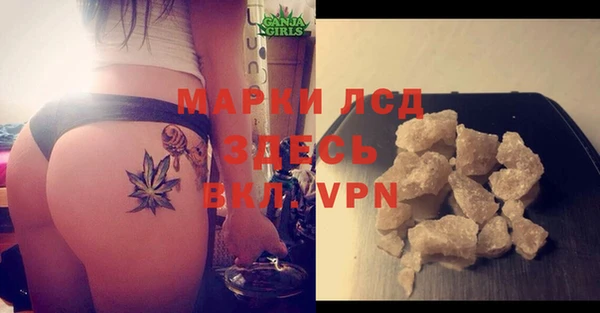 прущие грибы Пестово