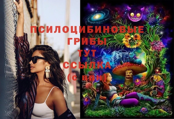 ECSTASY Костерёво