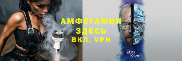 прущие грибы Пестово