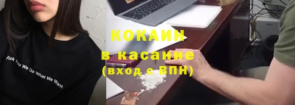 прущие грибы Пестово