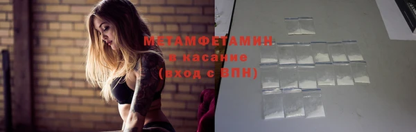 прущие грибы Пестово