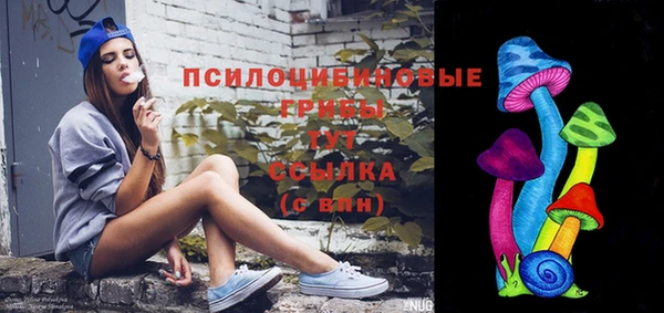 PSILOCYBIN Пересвет