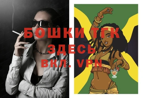 прущие грибы Пестово