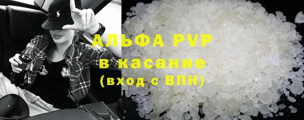 прущие грибы Пестово