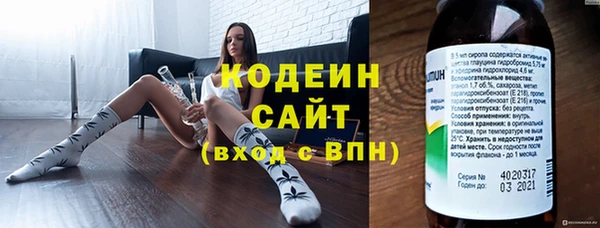 прущие грибы Пестово